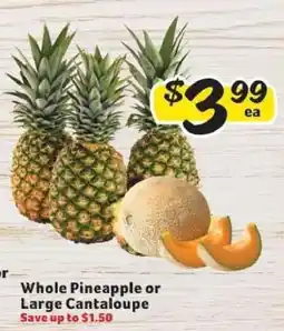 Winn Dixie Whole Pineapple or Large Cantaloupe offer
