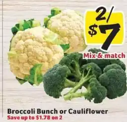 Winn Dixie Broccoli Bunch or Cauliflower offer
