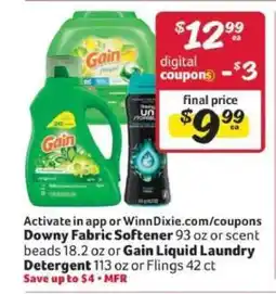 Winn Dixie Gain Liquid Laundry Detergent offer