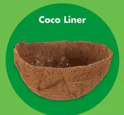Dollar Tree Coco Liner offer