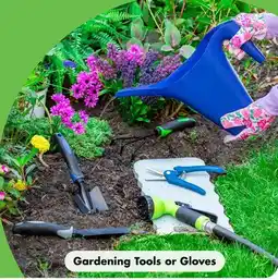 Dollar Tree Gardening Tools or Gloves offer