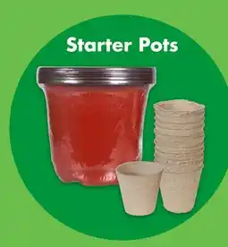 Dollar Tree Starter Pots offer