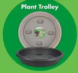 Dollar Tree Plant Trolley offer