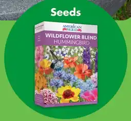 Dollar Tree Seeds offer