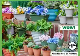 Dollar Tree Assorted Pots or Planters offer