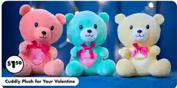 Dollar Tree Cuddly Plush for Your Valentine offer