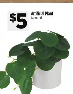 Dollar General Artificial Plant offer