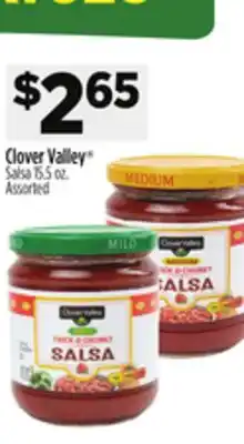 Dollar General Clover Valley Salsa offer