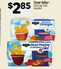 Dollar General Clover Valley Fruit Cups offer