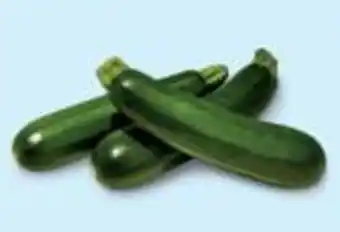 Per Lb. Zucchini Zucchini