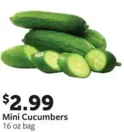 Fareway Mini Cucumbers offer