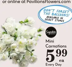 Pavilions Mini Carnations offer