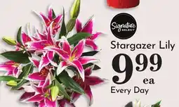 Pavilions Stargazer Lily offer
