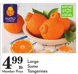 Pavilions Large Sumo Tangerines offer