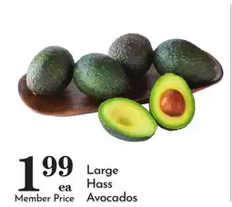Pavilions Large Hass Avocados offer
