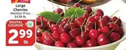 Vons Large Cherries offer