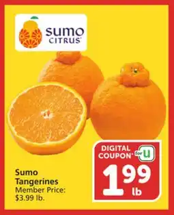 Vons Sumo Tangerines offer