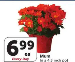 Vons Mum offer