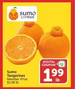Albertsons Sumo Tangerines offer
