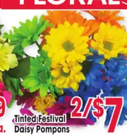 Jewel-Osco Tinted Festival Daisy Pompons offer