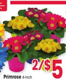 Jewel-Osco Primrose offer
