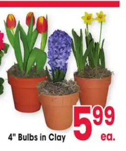 Jewel-Osco 4 Bulbs in Clay offer