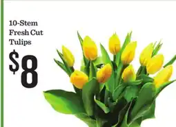 Mariano's 10-Stem Fresh Cut Tulips offer