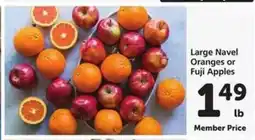 Safeway Large Navel Oranges or Fuji Apples offer