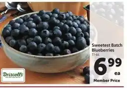 Safeway Sweetest Batch Blueberries offer