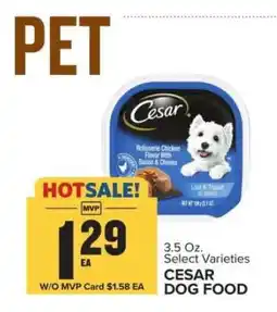 Food Lion Cesar Dog Food offer