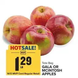 Food Lion Gala or McIntosh Apples offer