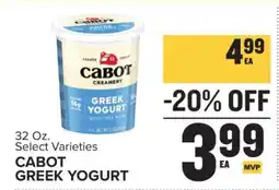 Food Lion Cabot Greek Yogurt offer