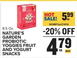Food Lion Nature’s Garden Probiotic Yoggies Fruit and Yogurt Snacks offer