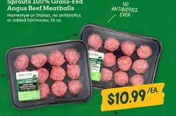 Sprouts Farmers Market Sprouts 100% Grass-Fed Angus Beef Meatballs offer