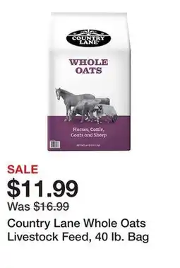 Tractor Supply Company Country Lane Whole Oats Livestock Feed, 40 lb. Bag offer