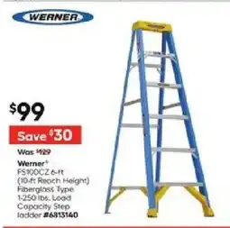 Lowe's Werner offer