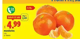 Lidl mandarins offer