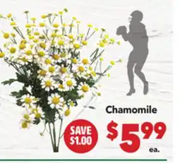 Vallarta Supermarkets Chamomile offer