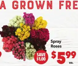 Vallarta Supermarkets Spray Roses offer