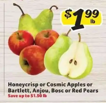 Honeycrisp or Cosmic Apples or Bartlett, Anjou, Bosc or Red Pears