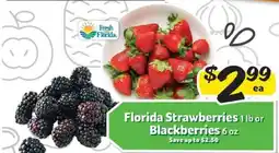 Winn Dixie Florida Strawberries or Blackberries offer