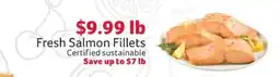 Winn Dixie Fresh Salmon Fillets offer