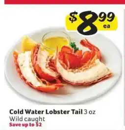 Winn Dixie Cold Water Lobster Tail offer