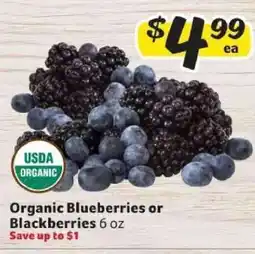 Winn Dixie Organic Blueberries or Blackberries offer