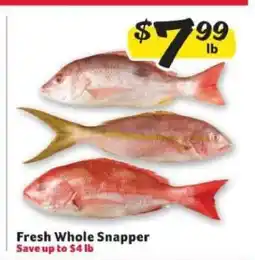 Winn Dixie Fresh Whole Snapper offer