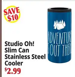Ocean State Job Lot Studio Oh! Slim Can Stainless Steel Cooler offer