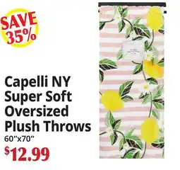 Ocean State Job Lot Capelli NY Super Soft Oversized Plush Throws offer