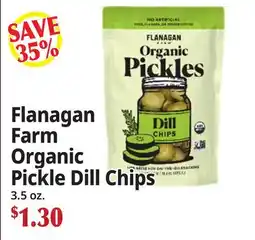 Ocean State Job Lot Flanagan Farm Organic Pickle Dill Chips offer
