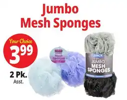Ocean State Job Lot Jumbo Mesh Sponges offer