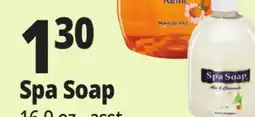 Ocean State Job Lot Spa Soap offer